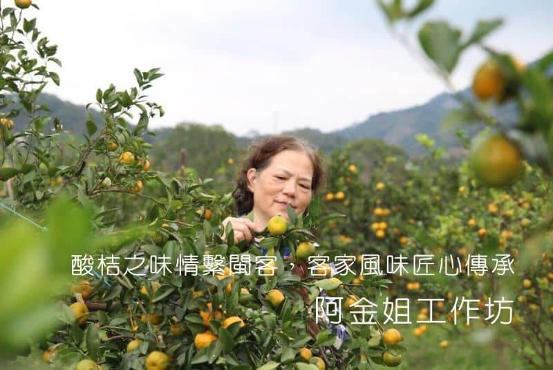酸桔之味情繫閩客,客家風味匠心傳承|阿金姐工作坊