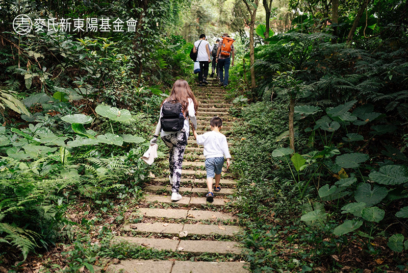 走進淺山森林探險 陪孩子探索生態教育｜麥氏新東陽基金會40週年