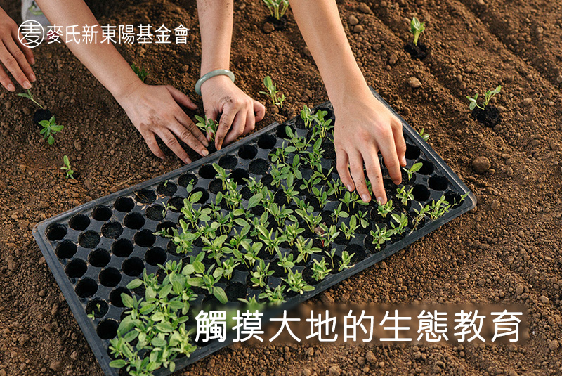觸摸大地的生態教育_新東陽_麥氏新東陽基金會