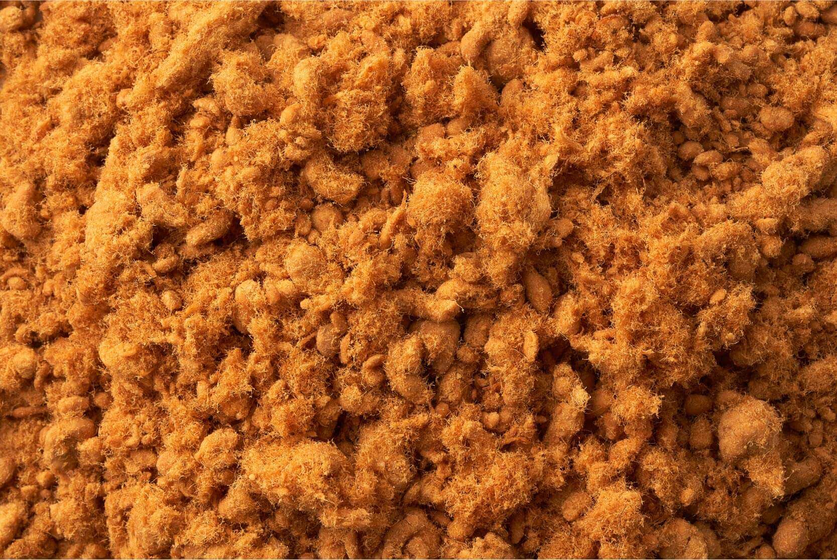 新東陽精緻豬肉鬆