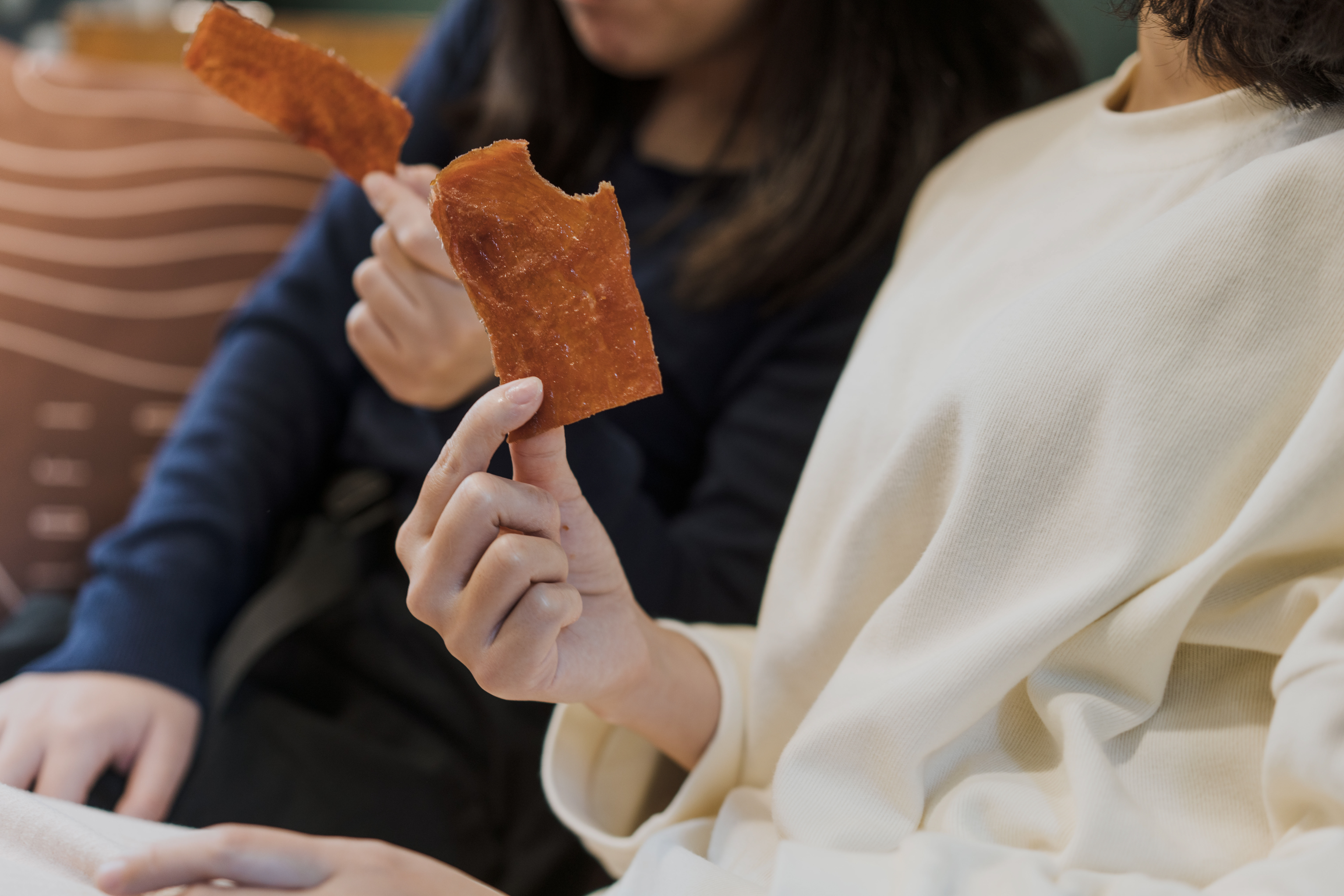 新東陽禮盒 - 肉乾禮盒