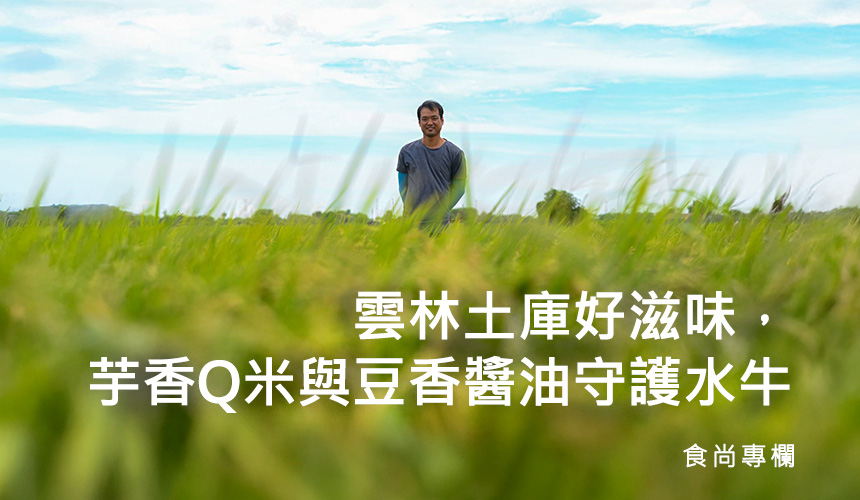 食尚專欄-回鄉米