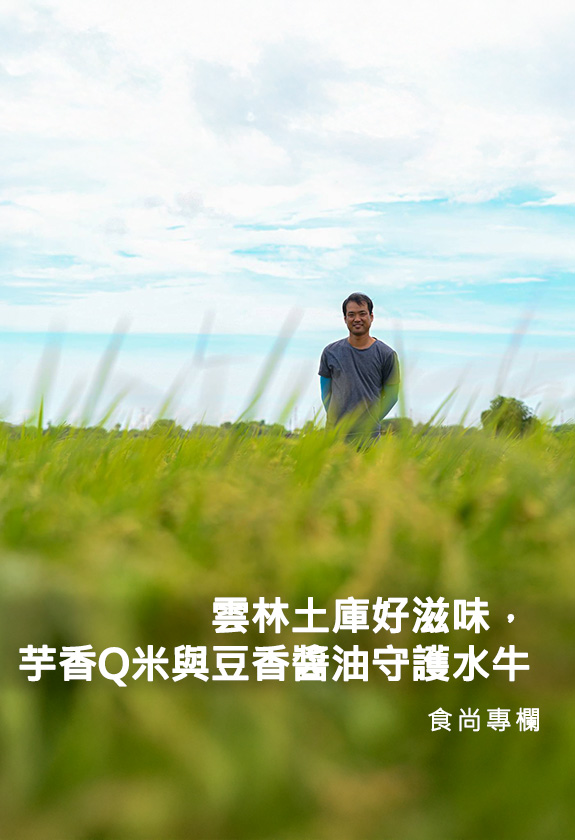 食尚專欄-回鄉米