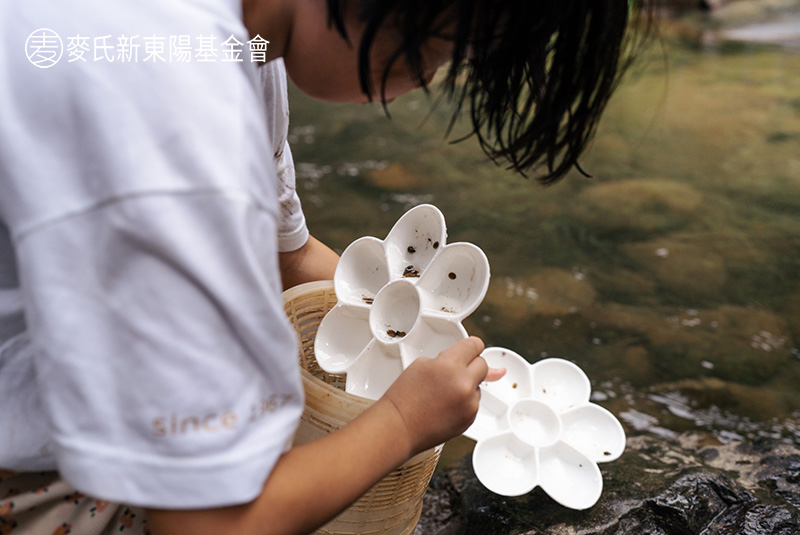 孩子們在池塘濕地觀察棲息環境