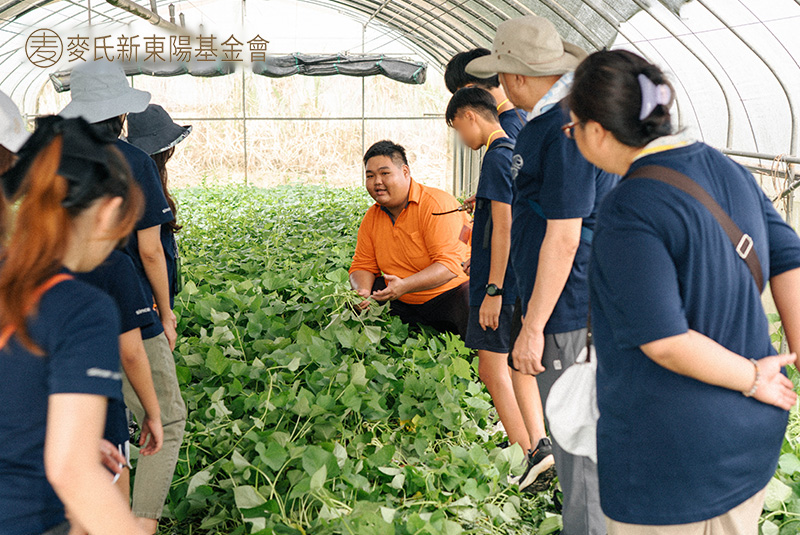幸夫愛兒園孩子參與麥氏新東陽基金會食農教育活動，體驗永續課程