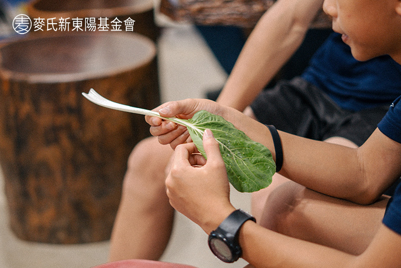 沛芳農場五大關卡體驗，從種菜到食農知識學習
