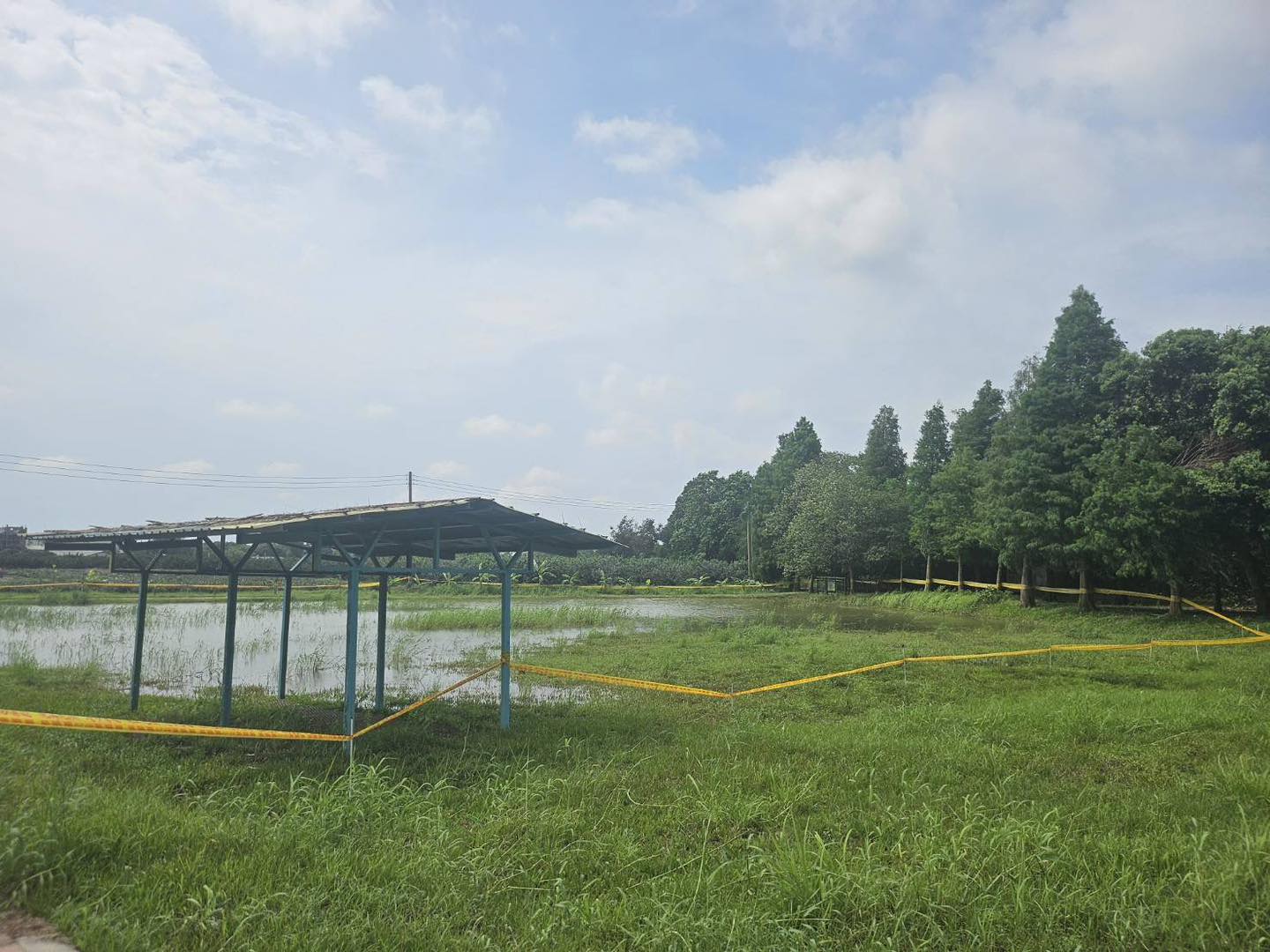 2025年夏季颱風過後，糧莘庇護農場的農田受到很大的影響