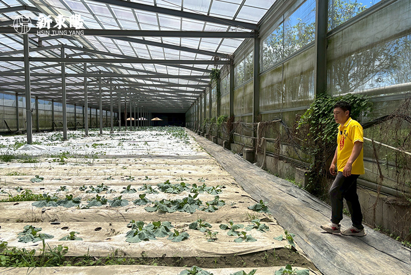 農地分享|農甜味 洪健智